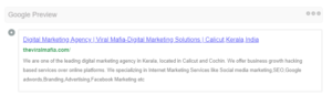 SEO Audit google preview